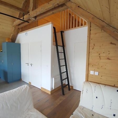 Logement Entre Lac Et Montagne อานซี ภายนอก รูปภาพ