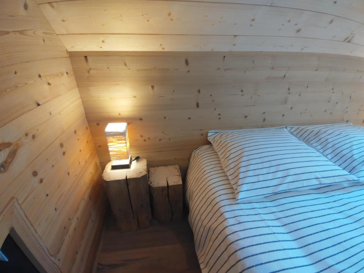 Logement Entre Lac Et Montagne อานซี ภายนอก รูปภาพ